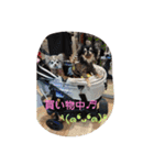 親バカスタンプ④（個別スタンプ：13）