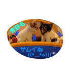 親バカスタンプ④（個別スタンプ：15）