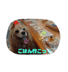親バカスタンプ④（個別スタンプ：16）