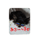 親バカスタンプ④（個別スタンプ：17）