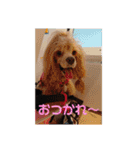 親バカスタンプ④（個別スタンプ：26）
