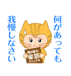 ドラネコ ミーちゃん 3（個別スタンプ：3）
