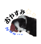 べるちゃ（個別スタンプ：1）