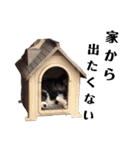 べるちゃ（個別スタンプ：4）
