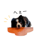 べるちゃ（個別スタンプ：27）
