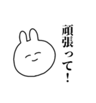 肉まんうさぎスタンプ（個別スタンプ：5）