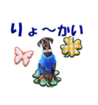 カラフルミニピンワールド（個別スタンプ：1）