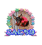 カラフルミニピンワールド（個別スタンプ：3）