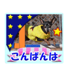 カラフルミニピンワールド（個別スタンプ：4）