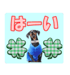 カラフルミニピンワールド（個別スタンプ：5）