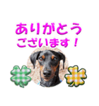 カラフルミニピンワールド（個別スタンプ：6）