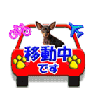 カラフルミニピンワールド（個別スタンプ：13）