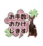 カラフルミニピンワールド（個別スタンプ：20）