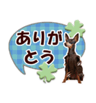 カラフルミニピンワールド（個別スタンプ：23）
