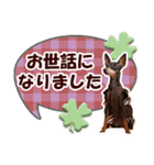 カラフルミニピンワールド（個別スタンプ：24）