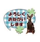 カラフルミニピンワールド（個別スタンプ：25）