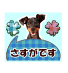 カラフルミニピンワールド（個別スタンプ：26）