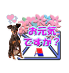カラフルミニピンワールド（個別スタンプ：31）