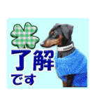 カラフルミニピンワールド（個別スタンプ：33）