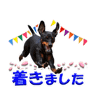 カラフルミニピンワールド（個別スタンプ：36）