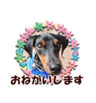 カラフルミニピンワールド（個別スタンプ：37）