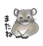 タンザニアの動物（個別スタンプ：8）