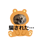 うちのわんこ②（個別スタンプ：15）