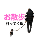 ミニピン家族（個別スタンプ：16）