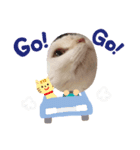拓坊スタンプだよー（個別スタンプ：4）