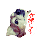 わんごころと秋の空2（個別スタンプ：15）