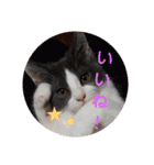 ハクちゃん、テチちゃんpart2（個別スタンプ：4）