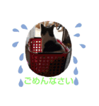 ハクちゃん、テチちゃんpart2（個別スタンプ：12）