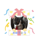 ハクちゃん、テチちゃんpart2（個別スタンプ：24）