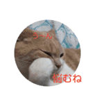 ハクちゃん、テチちゃんpart2（個別スタンプ：30）