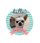 TITO No2（個別スタンプ：1）