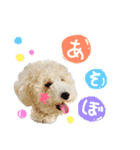 もめたんのスタンプset①（個別スタンプ：1）