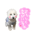 もめたんのスタンプset①（個別スタンプ：6）