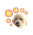 もめたんのスタンプset①（個別スタンプ：13）