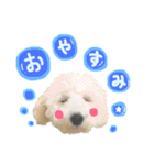 もめたんのスタンプset①（個別スタンプ：14）