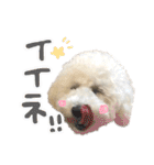 もめたんのスタンプset①（個別スタンプ：22）