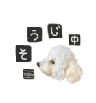 もめたんのスタンプset①（個別スタンプ：23）