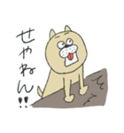 ようきないぬ（個別スタンプ：15）