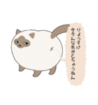 おならで喋るねこ（りょうすけ）（個別スタンプ：22）