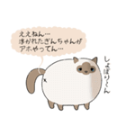 おならで喋るねこ（ぎんちゃん）（個別スタンプ：21）