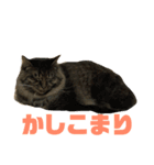 楓6（個別スタンプ：4）