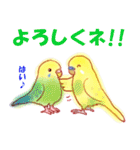 オカメインコの、りんごちゃんとお友達4（個別スタンプ：19）