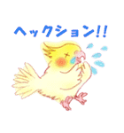 オカメインコの、りんごちゃんとお友達4（個別スタンプ：37）