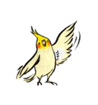 ぴよだまちい和！（個別スタンプ：1）