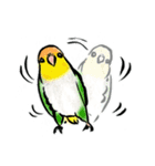 ぴよだまちい和！（個別スタンプ：11）