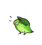 ぴよだまちい和！（個別スタンプ：13）